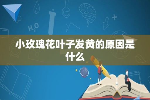 小玫瑰花叶子发黄的原因是什么