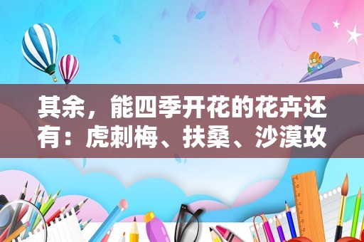 其余，能四季开花的花卉还有：虎刺梅、扶桑、沙漠玫瑰、非洲紫罗兰、太阳花、月季花等。