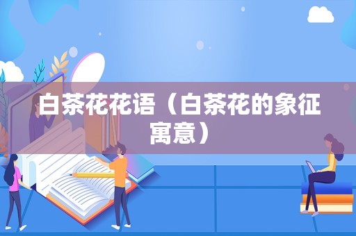 白茶花花语（白茶花的象征寓意）
