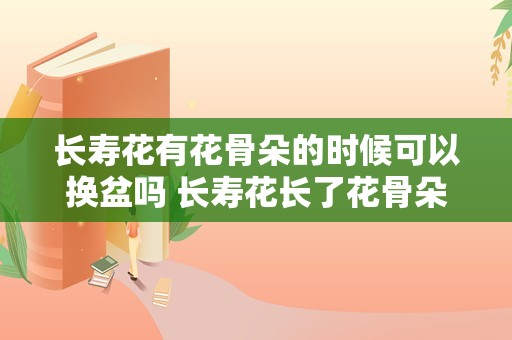 长寿花有花骨朵的时候可以换盆吗 长寿花长了花骨朵后怎样养护
