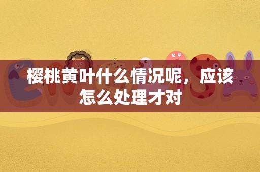 樱桃黄叶什么情况呢，应该怎么处理才对