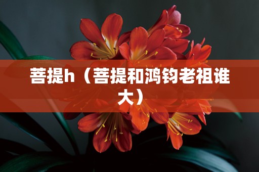 菩提h（菩提和鸿钧老祖谁大）
