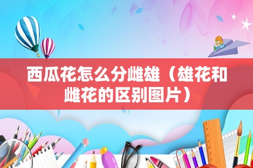 西瓜花怎么分雌雄（雄花和雌花的区别图片）
