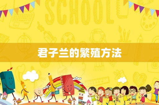 君子兰的繁殖方法