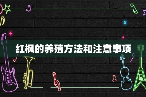 红枫的养殖方法和注意事项