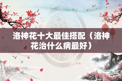 洛神花十大最佳搭配（洛神花治什么病最好）