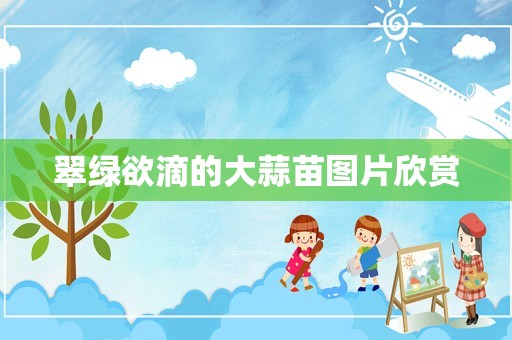 翠绿欲滴的大蒜苗图片欣赏