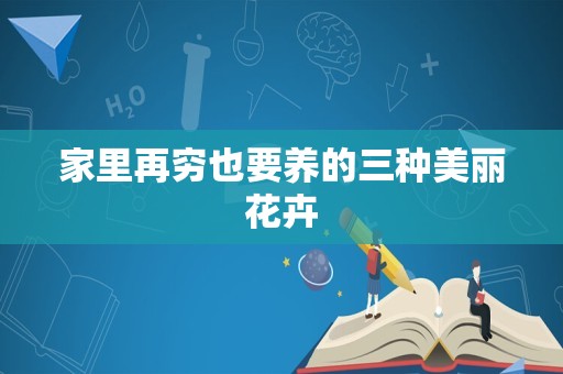 家里再穷也要养的三种美丽花卉