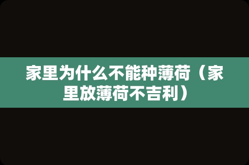 家里为什么不能种薄荷（家里放薄荷不吉利）
