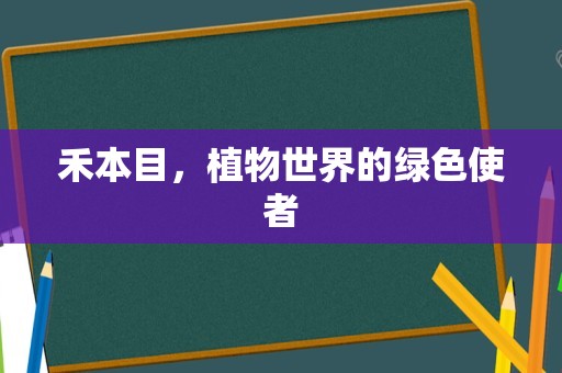 禾本目，植物世界的绿色使者
