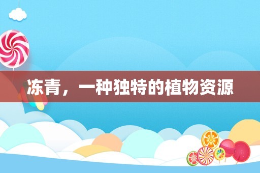冻青，一种独特的植物资源