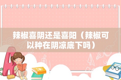 辣椒喜阴还是喜阳（辣椒可以种在阴凉底下吗）