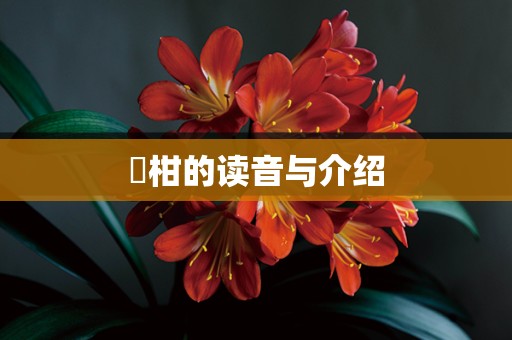 椪柑的读音与介绍