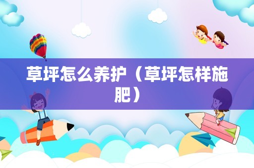 草坪怎么养护（草坪怎样施肥）