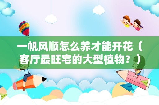 一帆风顺怎么养才能开花（客厅最旺宅的大型植物？）