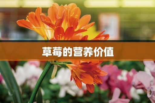 草莓的营养价值