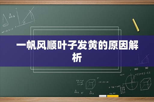 一帆风顺叶子发黄的原因解析