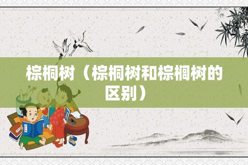 棕桐树（棕桐树和棕榈树的区别）