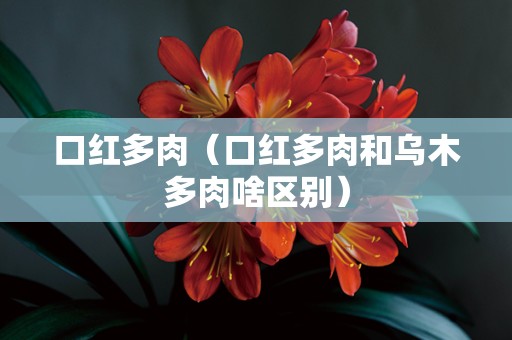 口红多肉（口红多肉和乌木多肉啥区别）