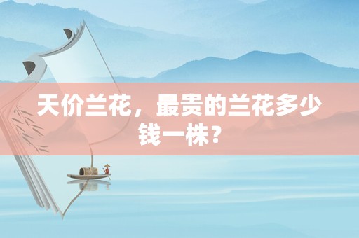 天价兰花，最贵的兰花多少钱一株？