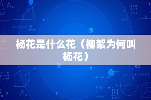 杨花是什么花（柳絮为何叫杨花）