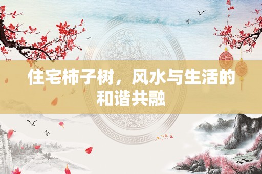 住宅柿子树，风水与生活的和谐共融