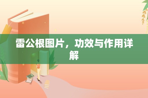 雷公根图片，功效与作用详解