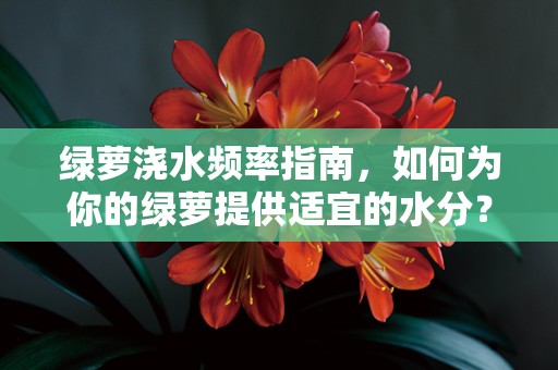 绿萝浇水频率指南，如何为你的绿萝提供适宜的水分？