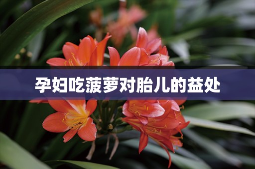 孕妇吃菠萝对胎儿的益处