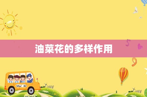 油菜花的多样作用