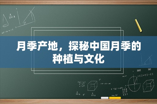 月季产地，探秘中国月季的种植与文化