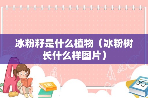 冰粉籽是什么植物（冰粉树长什么样图片）