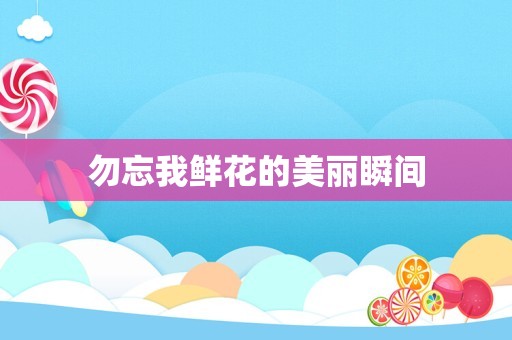 勿忘我鲜花的美丽瞬间