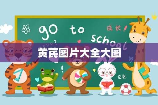 黄芪图片大全大图