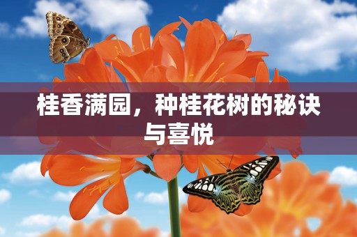 桂香满园，种桂花树的秘诀与喜悦