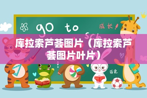 库拉索芦荟图片（库拉索芦荟图片叶片）