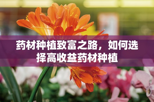 药材种植致富之路，如何选择高收益药材种植