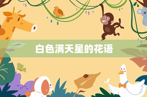 白色满天星的花语