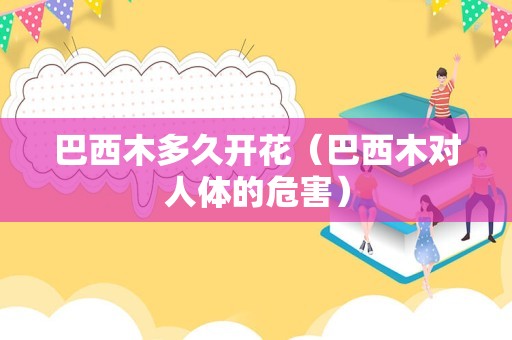 巴西木多久开花（巴西木对人体的危害）