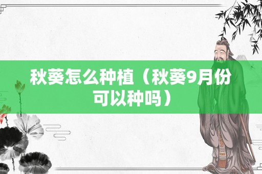 秋葵怎么种植（秋葵9月份可以种吗）