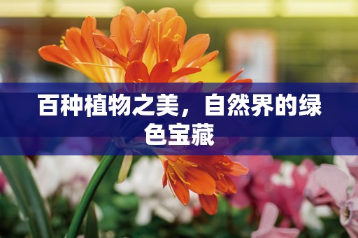 百种植物之美，自然界的绿色宝藏