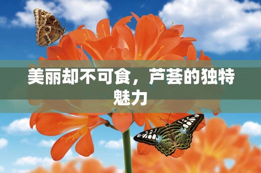 美丽却不可食，芦荟的独特魅力