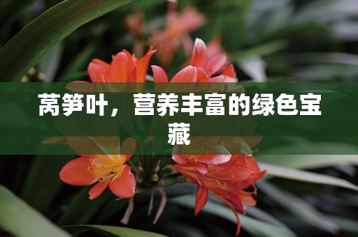 莴笋叶，营养丰富的绿色宝藏