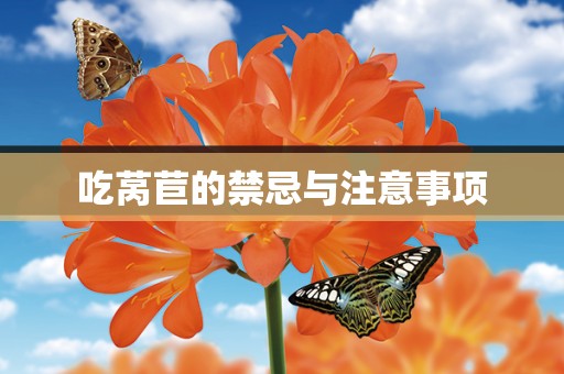 吃莴苣的禁忌与注意事项