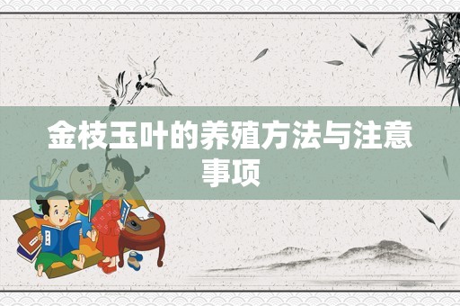 金枝玉叶的养殖方法与注意事项