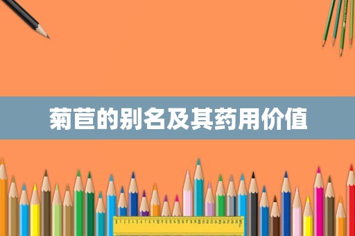 菊苣的别名及其药用价值