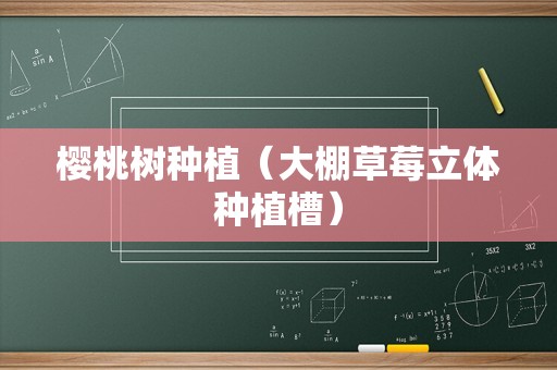 樱桃树种植（大棚草莓立体种植槽）