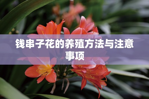 钱串子花的养殖方法与注意事项