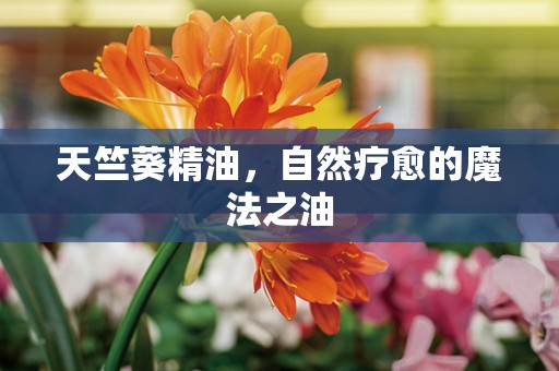 天竺葵精油，自然疗愈的魔法之油