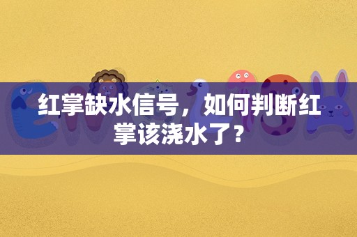 红掌缺水信号，如何判断红掌该浇水了？